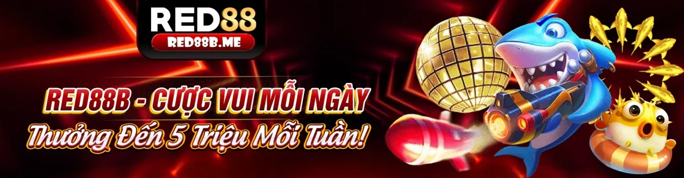 Tổng hợp khuyến mãi mới nhất s26bet 2026